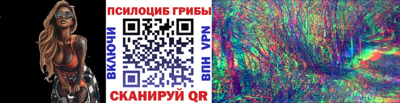 Псилоцибиновые грибы Psilocybe цены наркотик Нальчик